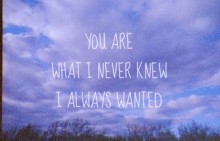 You are what i never knew i always wanted.jpg